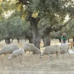 Abubillas * Jaraicejo